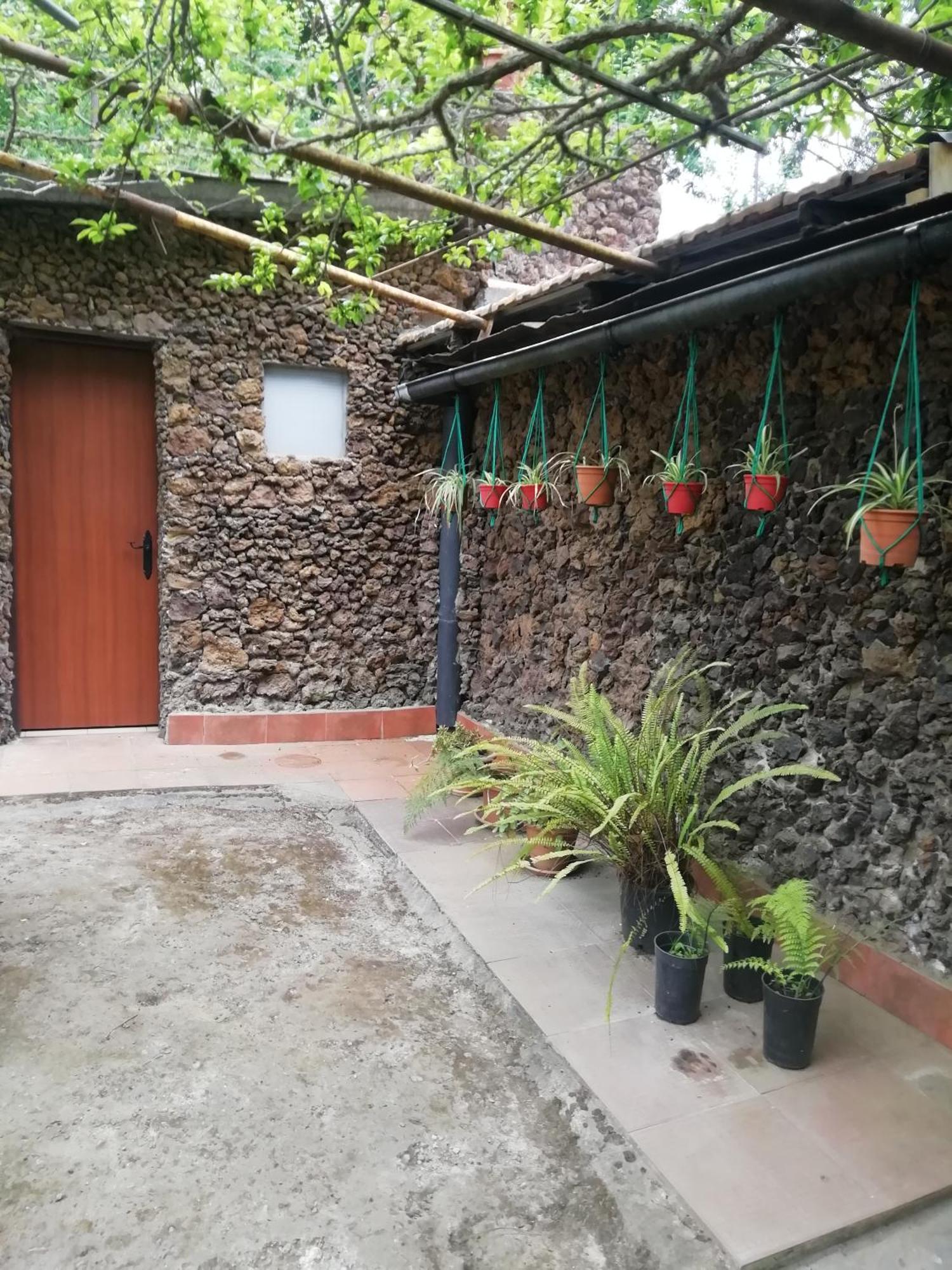 Casa Ecologica, Autosuficiente En Lomo Blanco, Dentro De Una Casa Rodeada De Naturaleza San Juan de la Rambla Dış mekan fotoğraf