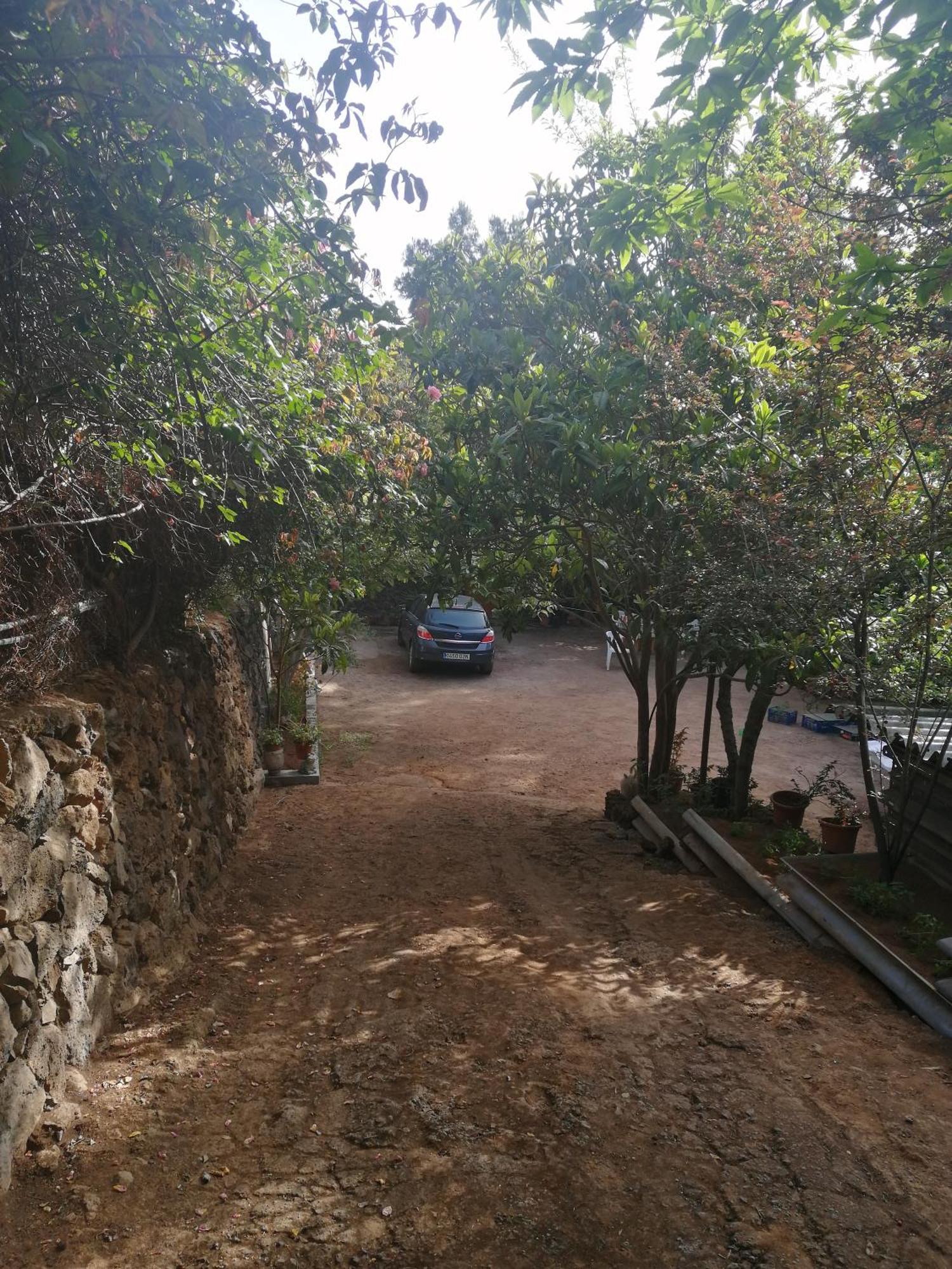 Casa Ecologica, Autosuficiente En Lomo Blanco, Dentro De Una Casa Rodeada De Naturaleza San Juan de la Rambla Dış mekan fotoğraf