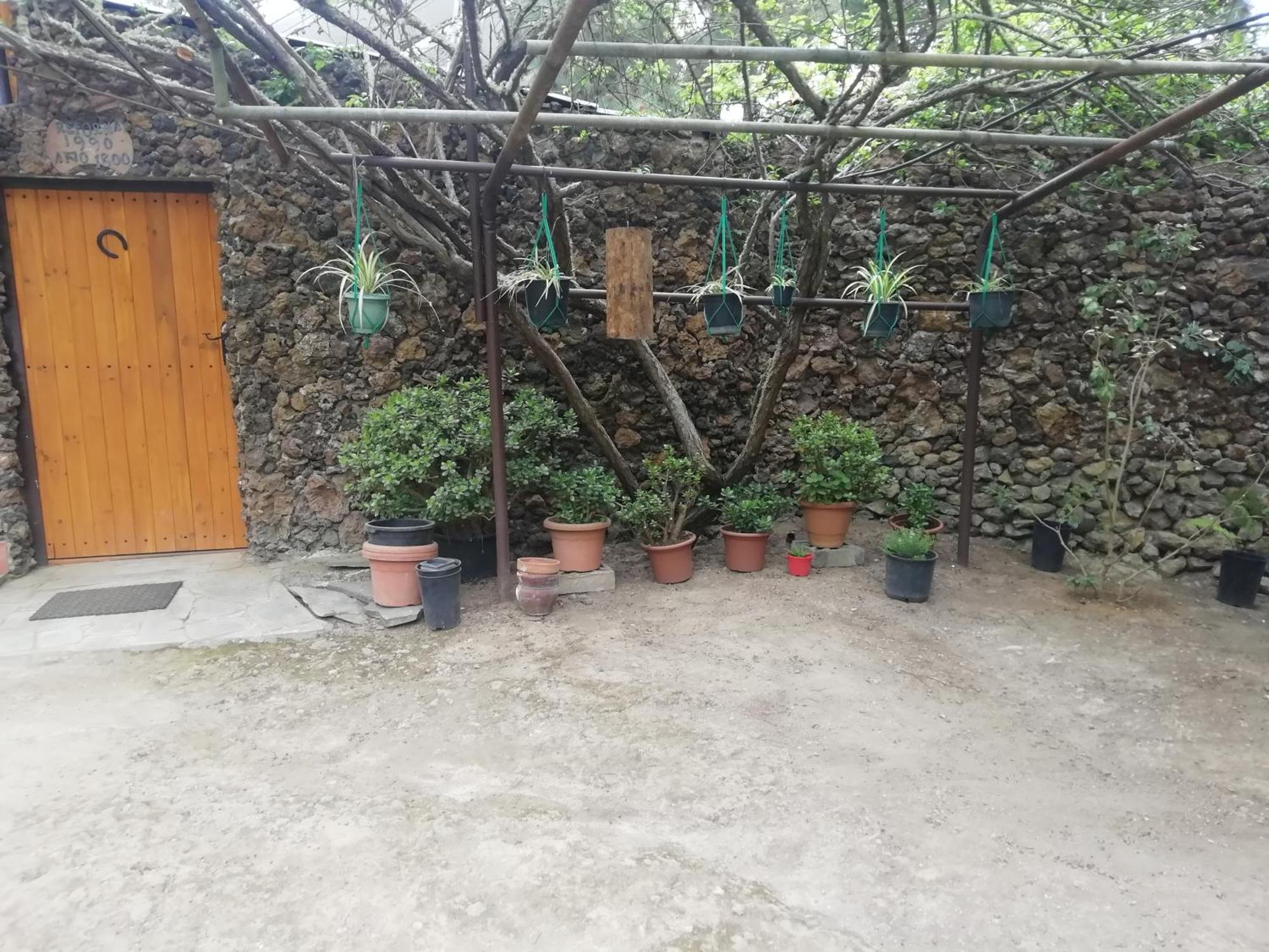 Casa Ecologica, Autosuficiente En Lomo Blanco, Dentro De Una Casa Rodeada De Naturaleza San Juan de la Rambla Dış mekan fotoğraf