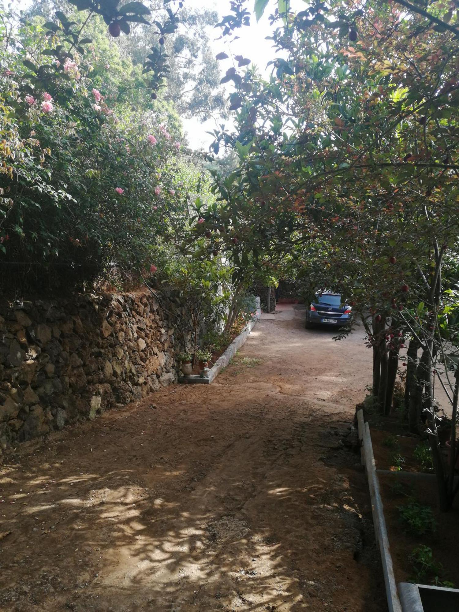 Casa Ecologica, Autosuficiente En Lomo Blanco, Dentro De Una Casa Rodeada De Naturaleza San Juan de la Rambla Dış mekan fotoğraf